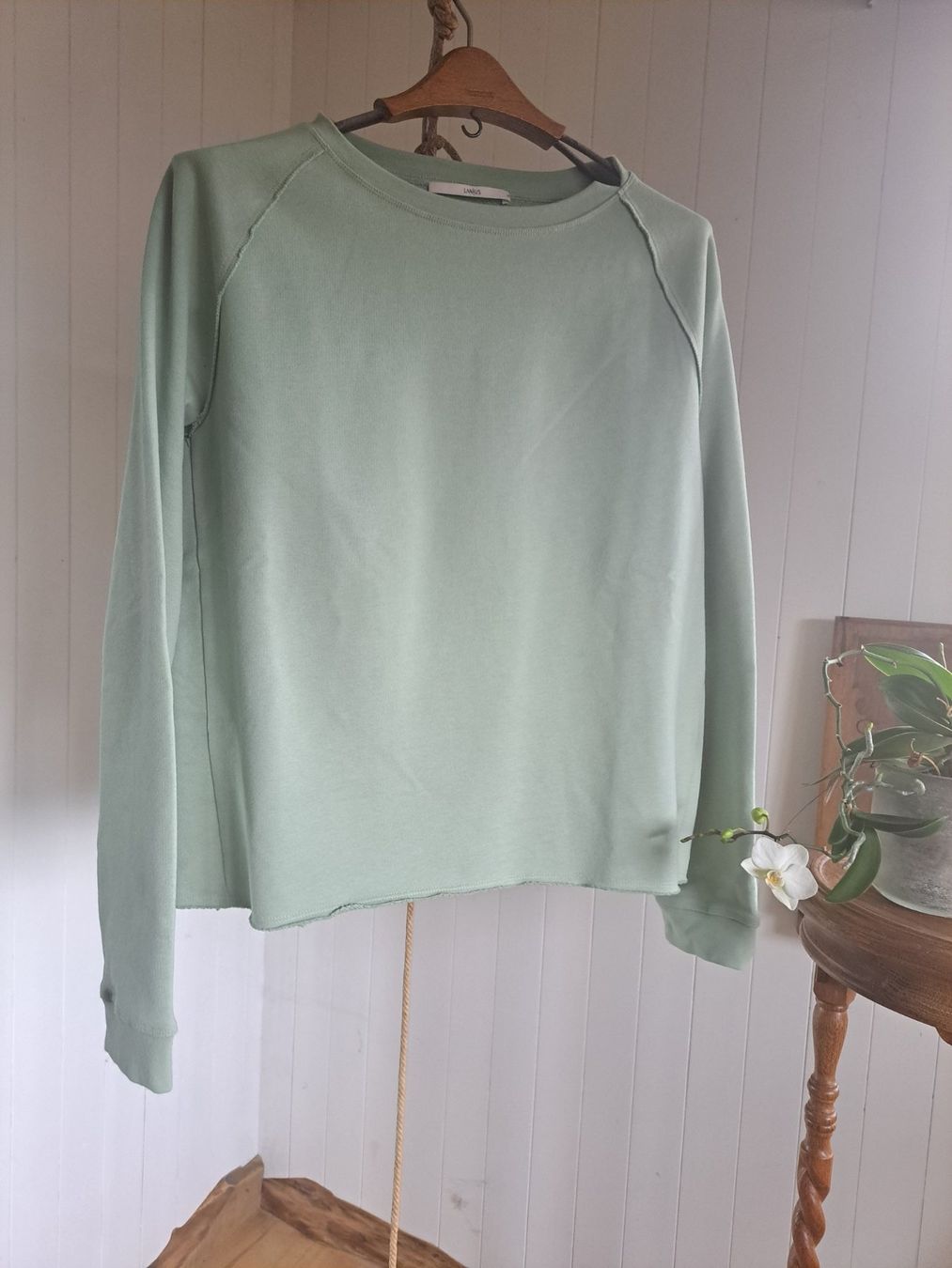 Lanius Maglioni & Felpe: LANIUS LAN!US Raglansweater 36 S  Pullover Pulli Sweater neu – Nuovo (secondo la descrizione) da Mollis venduto da Fauchi99 3