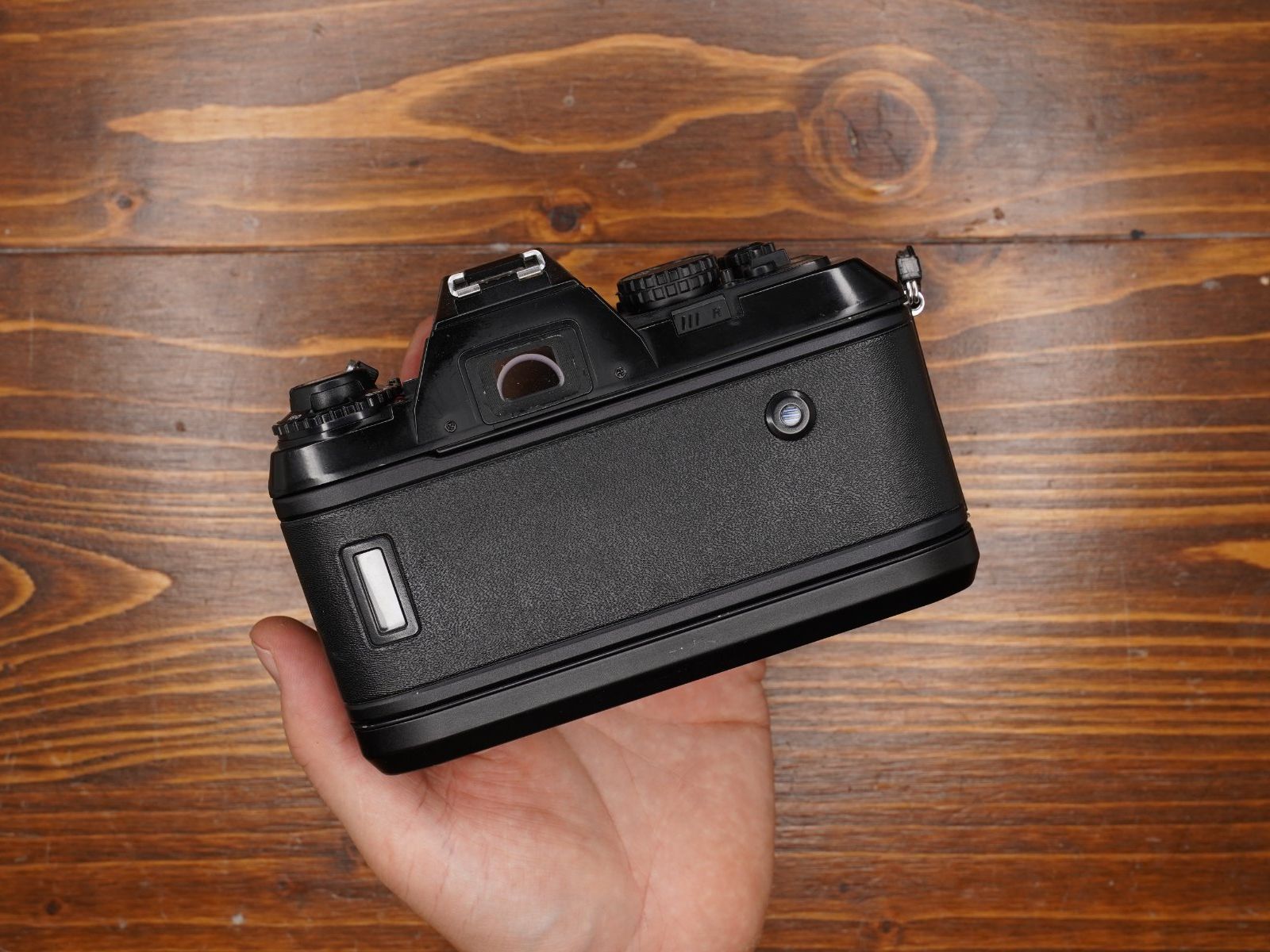 Nikon Fotocamera: Nikon F-301 Body – Usato da Bern venduto da FotoStrobo.ch_Outlet 3