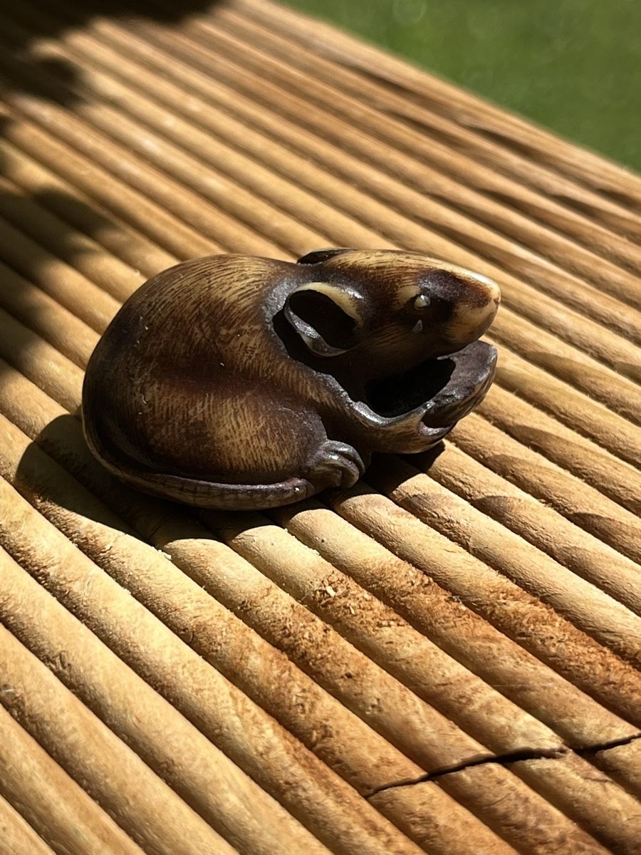 Statuette: 4 netsuke bunny, hund, ratte, welpe – Usato da Lengnau BE venduto da Meij 9