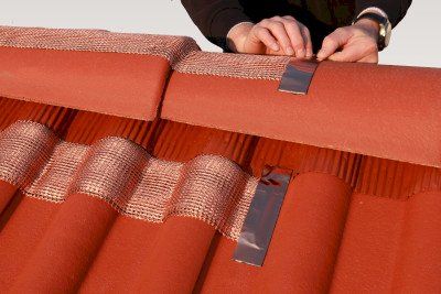 Altri materiali da costruzione: MOOSfree 30 Kupferband Moos und Flechten – Nuovo e nell'imballaggio originale da Bottighofen venduto da zaap 2
