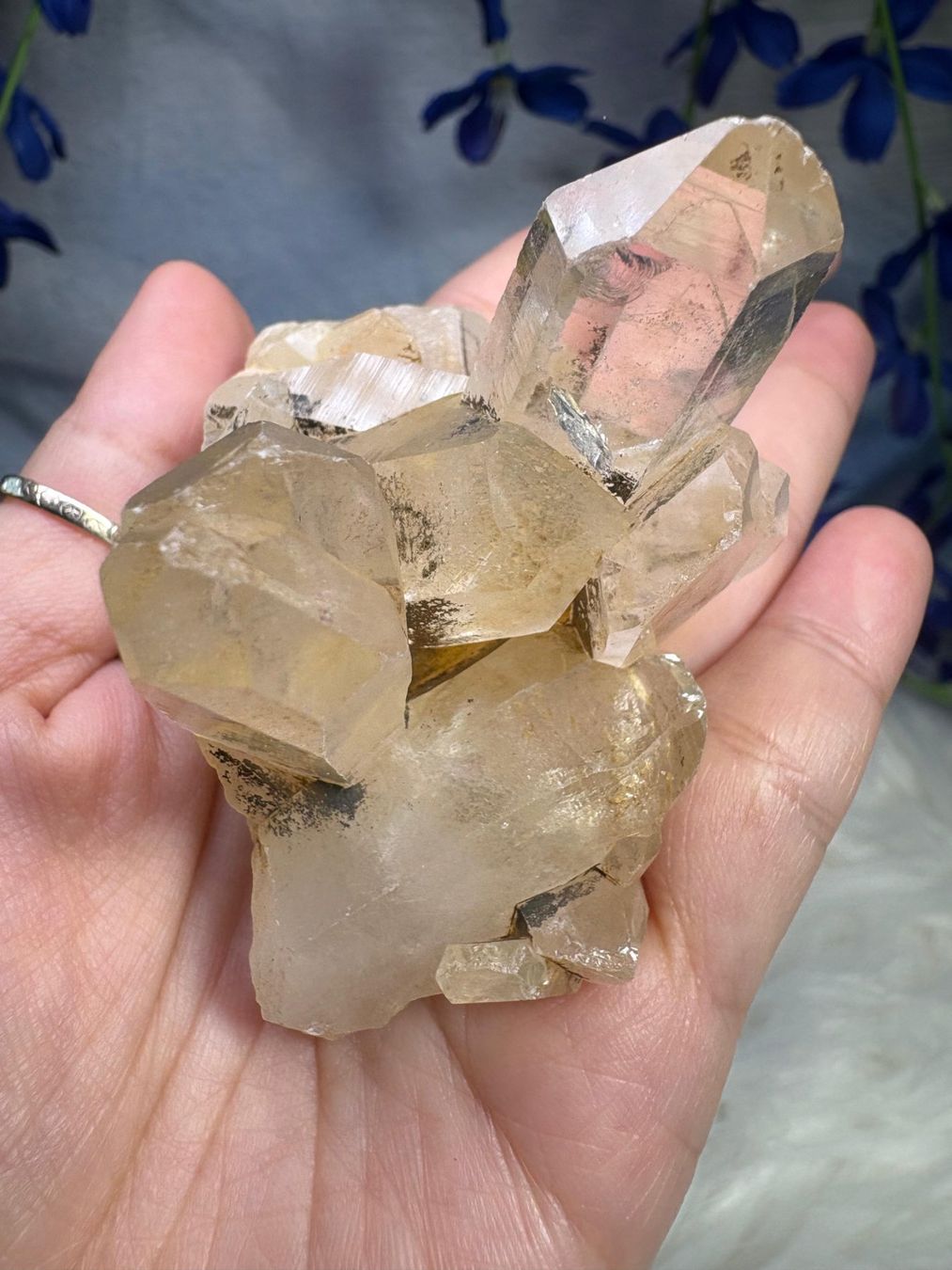 Minerali & Pietre curative: Laotischer Clear Quartz Cluster – Nuovo (secondo la descrizione) da Neuheim venduto da m.hald 3