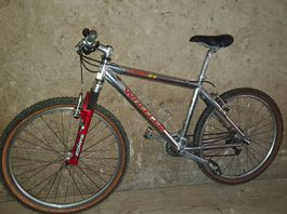 Mountain-Bike Wheeler