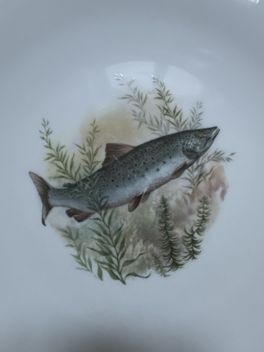 Piatti: Tellerset 6 Stk. Fischteller Suisse Langenthal  – Usato da Bern venduto da schnupka 4