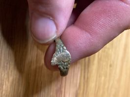 Jolie bague de moyen âge Hongrois ou Serbe