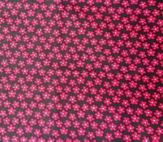 Baumwollstoff 50 x 135 cm schwarzer Grund mit roten Blümchen
