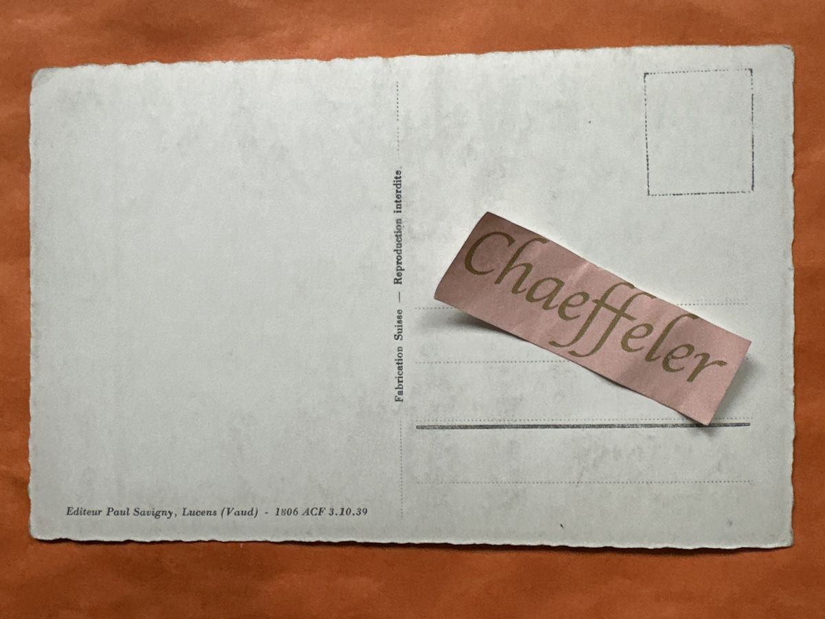 Cartoline postali: 727  Estavayer-le-Lac. Vue générale – Usato da Zürich venduto da Chaeffeler 1
