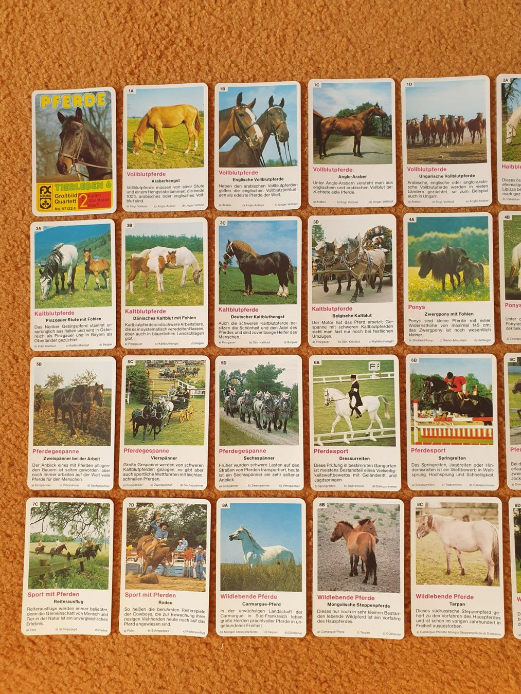 Spiele: PFERDE TIERLEBEN 6 Grossbild Quartett – Gebraucht aus Mörschwil von spirspi 3
