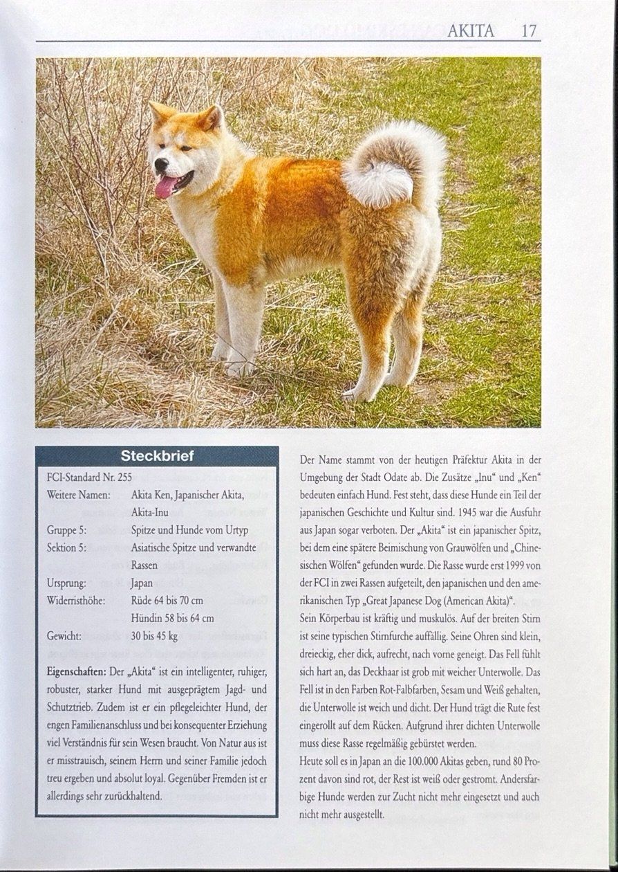 Bücher: Hunde (Garant Verlag) – Neu (gemäss Beschreibung) aus Sarnen von Livres 7