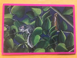 Kunst-Postkarte Naturschutz-Tram Zürich 2000-2002