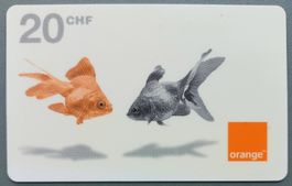 Taxcard - Orange - Goldfisch - CH