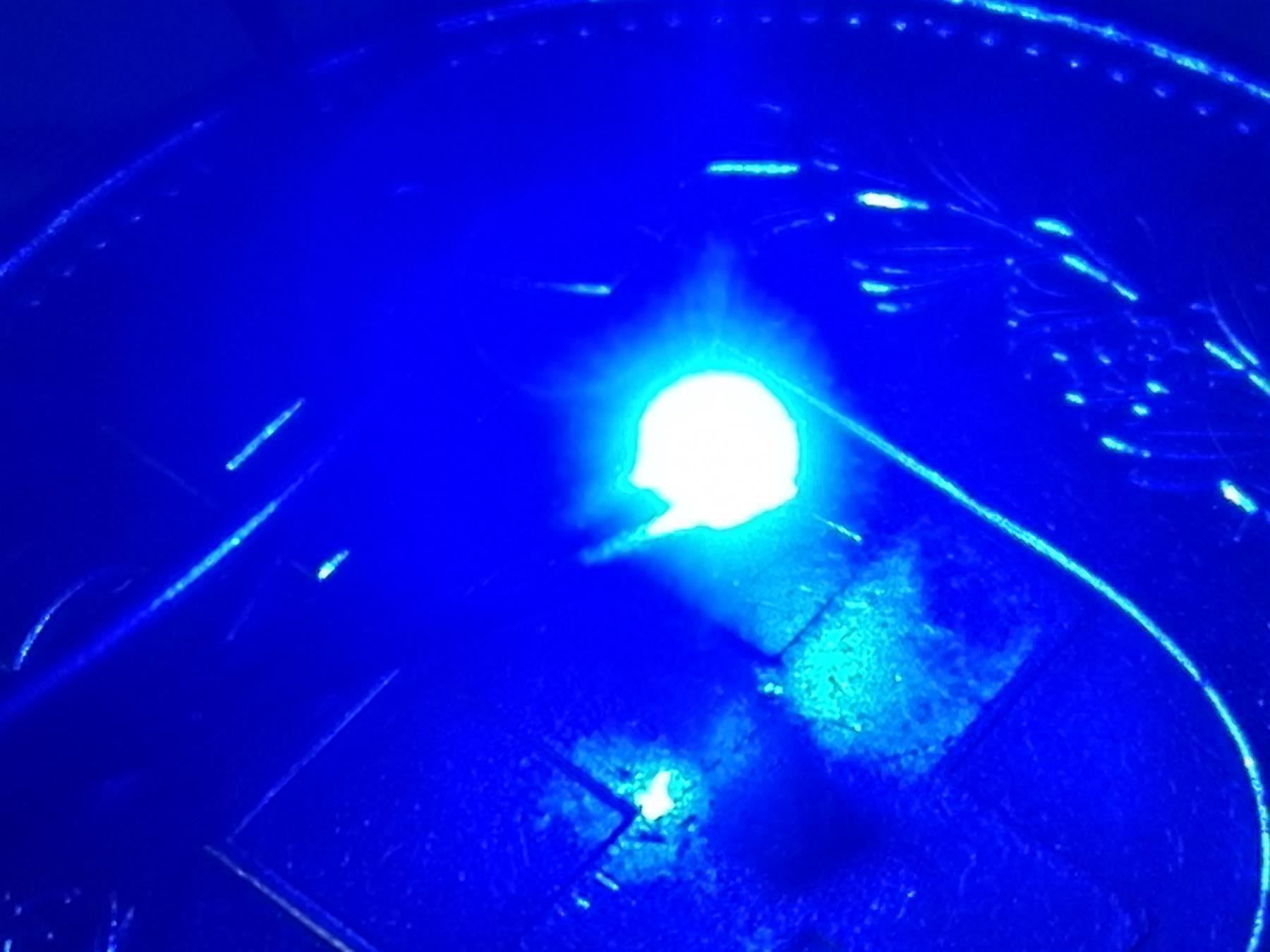 Componenti elettronici: Blink-SMD 0805 blau, 12V verkabelt – Nuovo (secondo la descrizione) da Luzern venduto da Salefactory