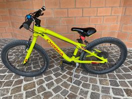 Kindervelo Fahrrad Orbea 20 Zoll gelb/grün sehr gebraucht