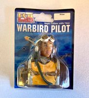 Pilote avion accessoire RC