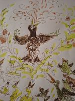 Aquarellzeichnung Voegel Marta Tschudi 