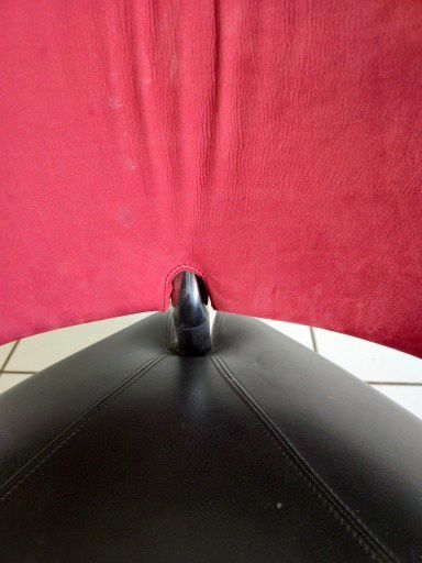 Leolux Poltrone: Fauteuil Pallone – Leolux de Roy de Scheemaker – Usato da Hauteville venduto da MaisonMora 3
