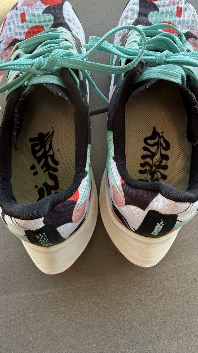Nike Scarpe da uomo: Chaussures de cours Nike Zoom Pegasus 37, taille 40.5 – Usato da Pully venduto da Evgenii13 1