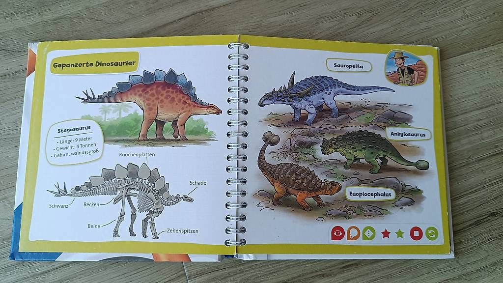 Libri: Tiptoi Pocket Dinosaurier – Usato da Buttisholz venduto da Baendlifahrer 1