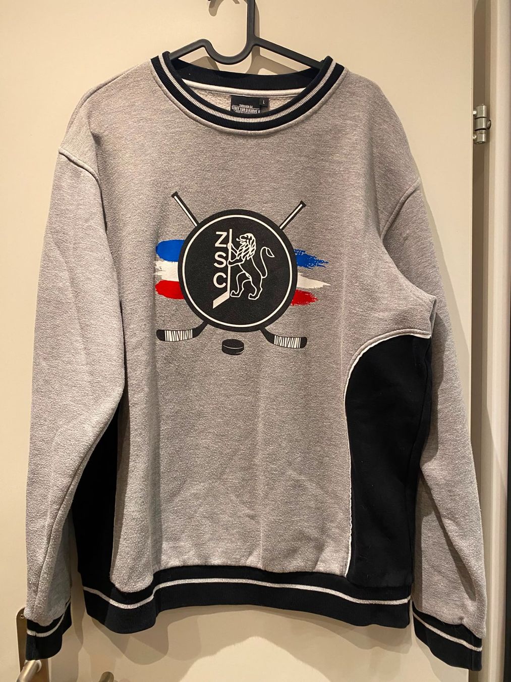 Zsc Lions Pulls & Sweat-shirts: ZSC Lions Pullover Gr. L – D'occasion à Zürich par drummergirl98