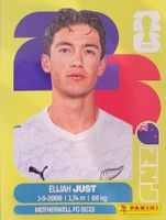 Panini FIFA World Cup NZL 18