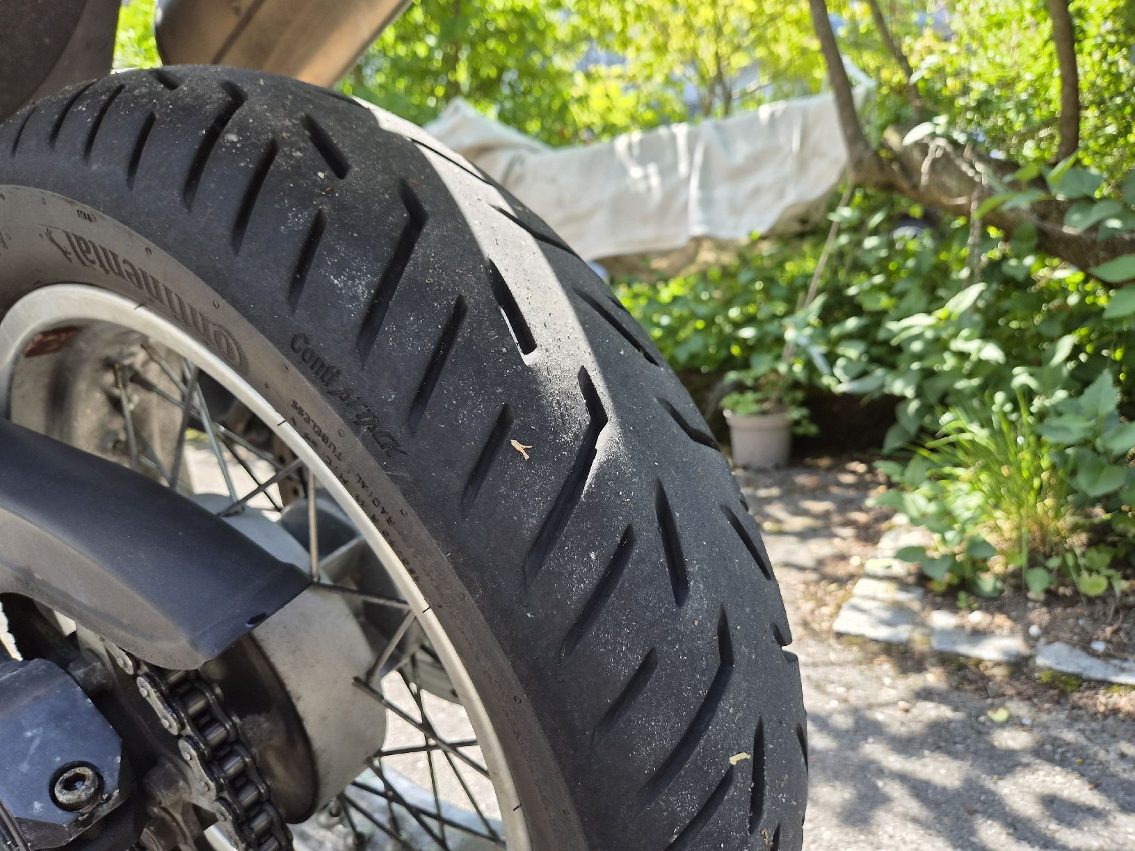 Triumph Enduro: Triumph Tiger 955i schwarz – Usato da Thun venduto da Maerger 4