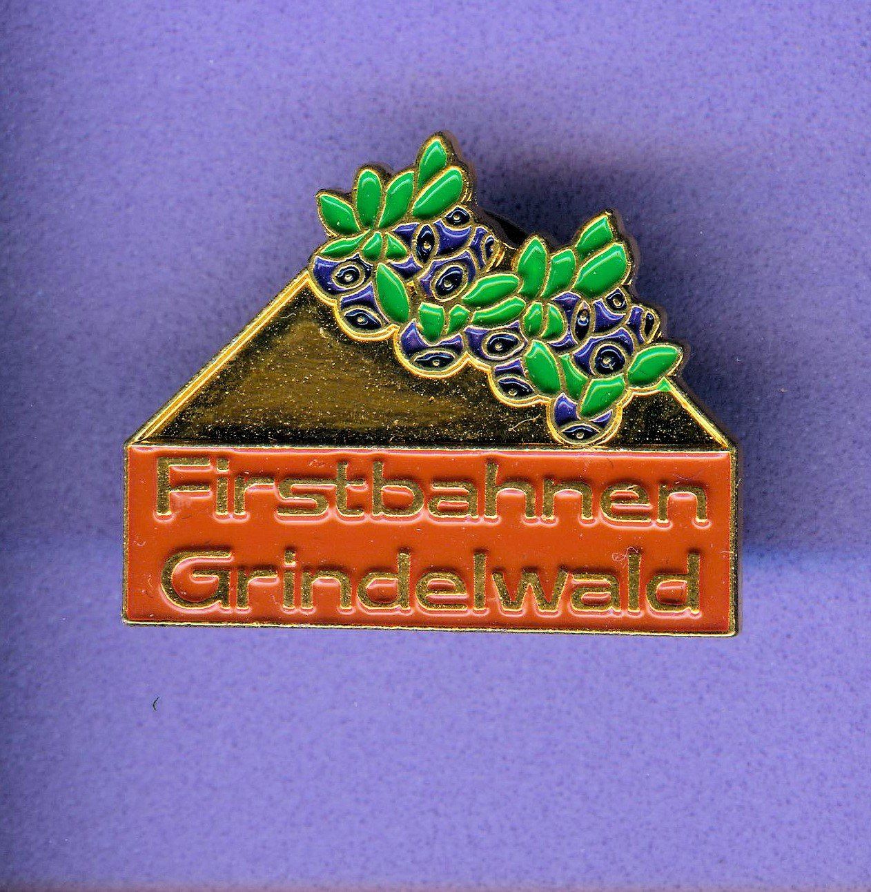 Plaquettes & Badges: Firstbahnen Grindelwald – D'occasion à Winterthur par Sammleroase