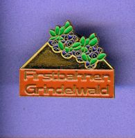 Firstbahnen Grindelwald