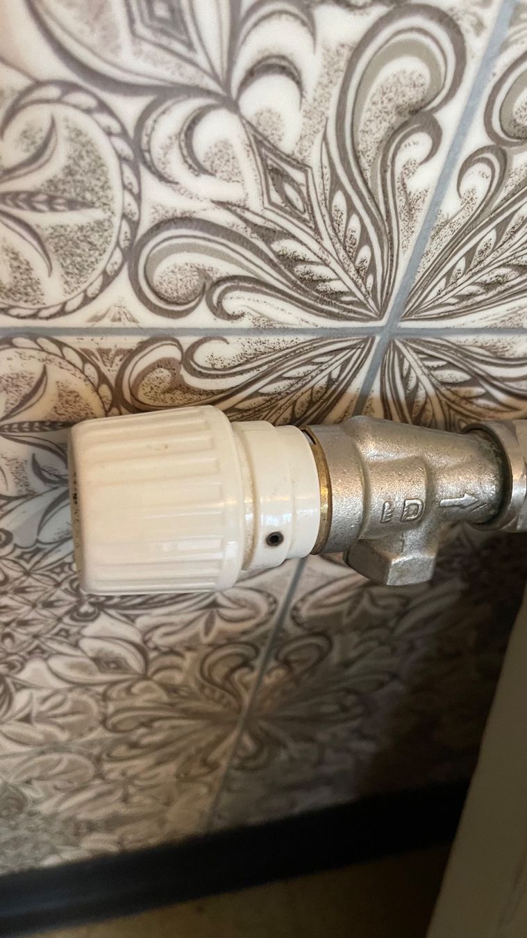 Zehnder Heizgeräte: Flache Heizungskörper von Zehnder – Gebraucht aus Othmarsingen von ami_9f5j 3