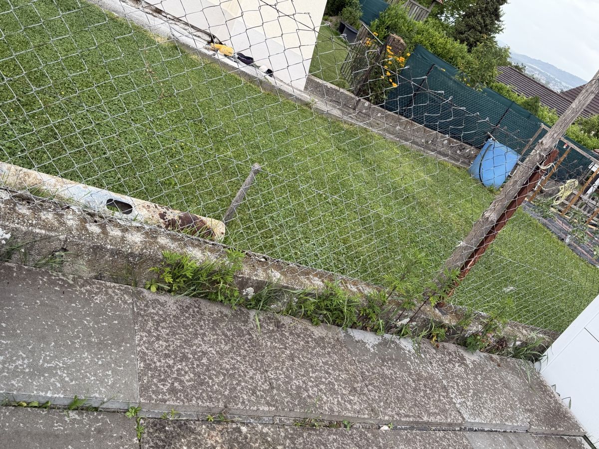 Pietre & tegole: Dalles – Usato da Bussy FR venduto da joa_lv87 2