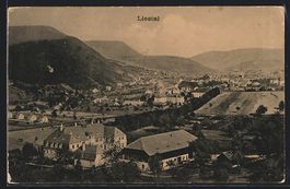 Liestal, Totalansicht aus der Vogelschau