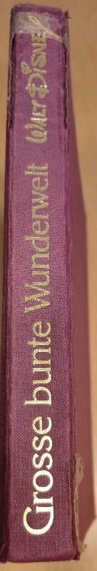 Libri: Grosses Disney Buch - Bunte Wunderwelt – Usato da Leuggern venduto da Grousi