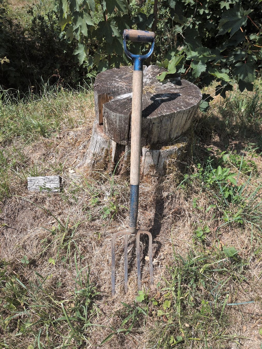 Tous les outils: Stechgabell mit Holzgriff gebraucht – D'occasion à Diessenhofen par riekekat