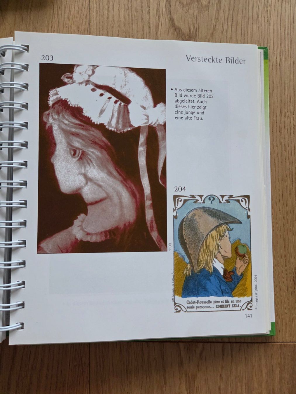 Libri: 3 Rätselbücher und 1 Buch "Fadenspiele" – Usato da Root venduto da meli_01 8