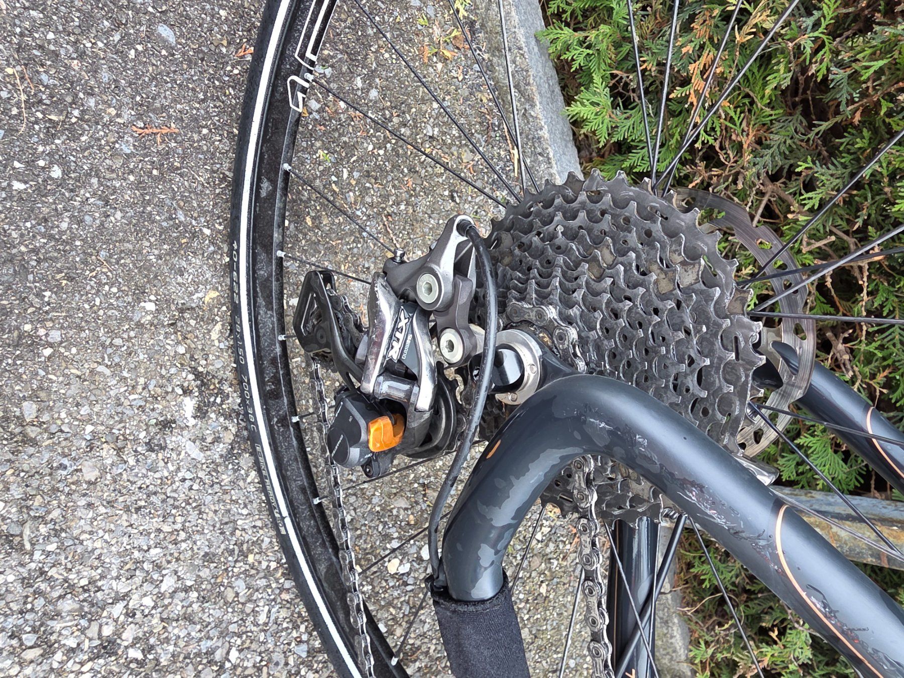 Thömus Vélos: tom cat carbon – D'occasion à Mühlethurnen par jmt_v6wt 1