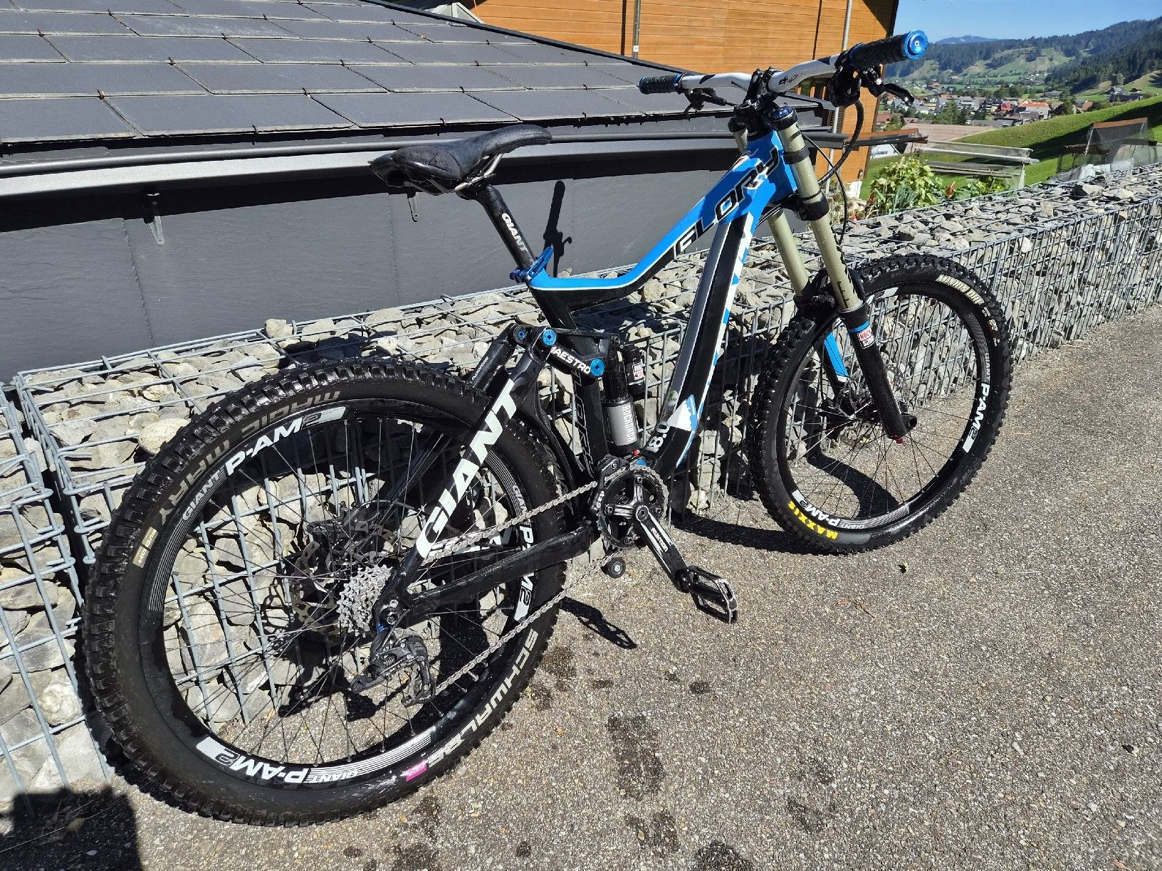Biciclette: Downhill Bike Gloria – Usato da Marbach LU venduto da nelk22