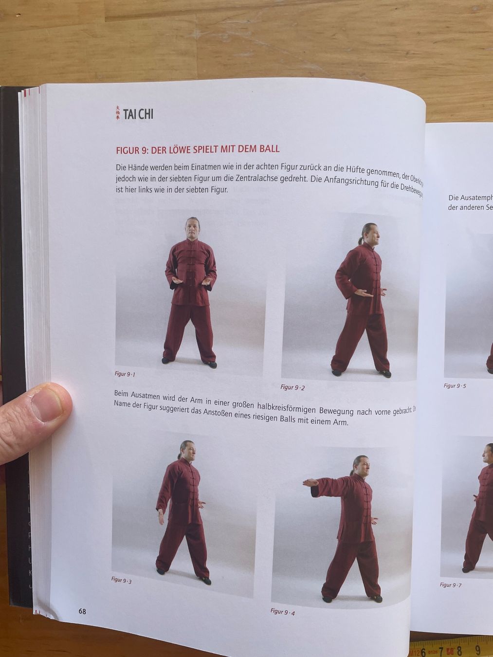 Libri: Komplettes Trainingsbuch Tai Chi – Usato da Sent venduto da ManuelB07 4