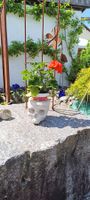 Toten-Kopf Übertopf für den Garten oder Balkon💀🪴 Neu!