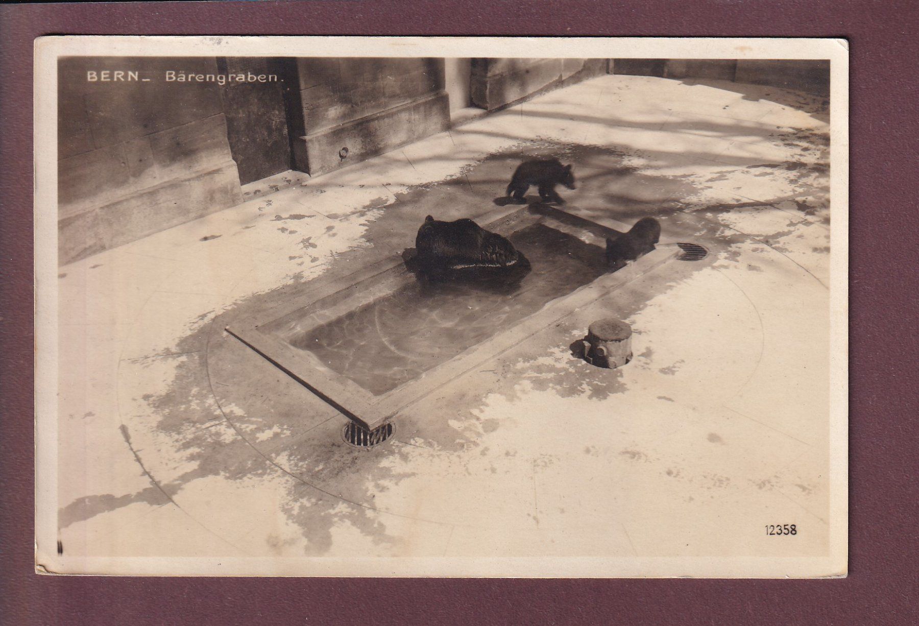 Cartoline postali: BERN - Bärengraben - 1925 – Usato da Pully venduto da nicecards