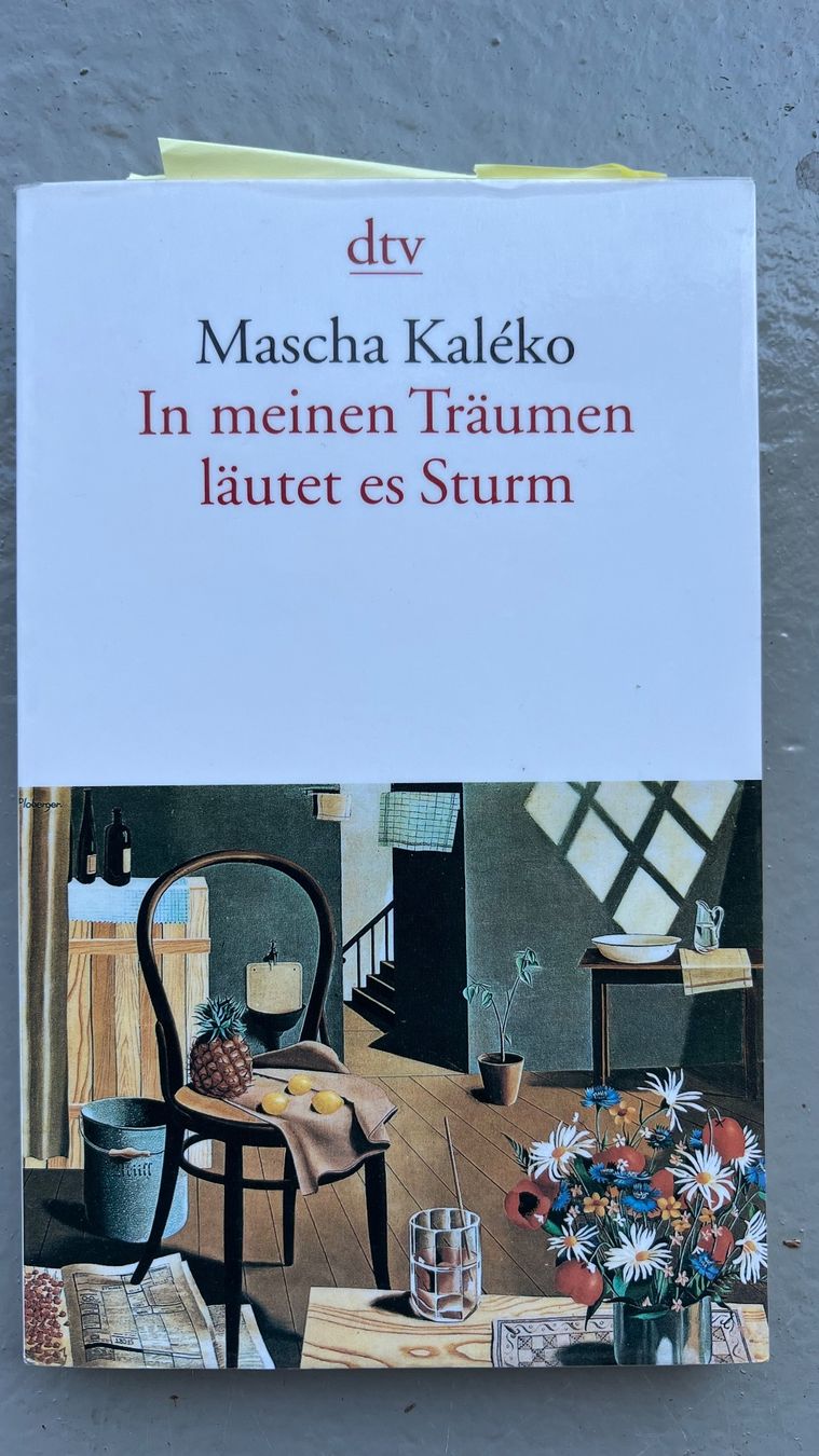 Libri: In meinen Träumen läutet es Sturm – Usato da Ebmatingen venduto da lwe_x6h5