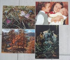 Farbfotos von Adolf Wetzel