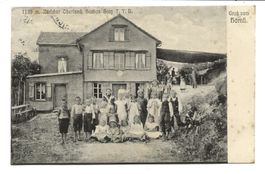 Gruss vom Hörnli (ZH) Zürcher Oberland - Station Steg - 1912