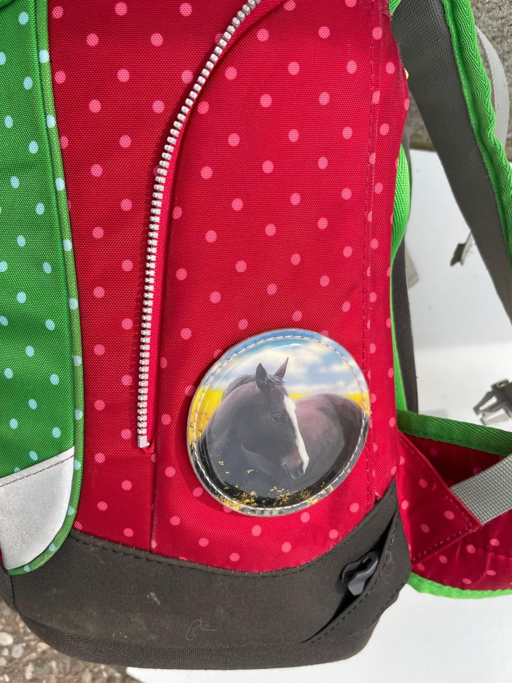Ergobag Kindertaschen: Ergobag Schulrucksack rot Pferdemotiv – Gebraucht aus Ebikon von el_Pedro 3