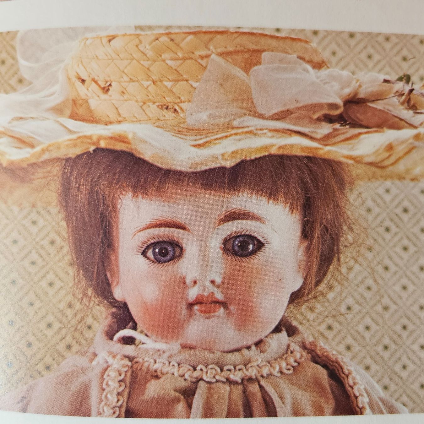 Libri: Die grosse Puppenwelt, Elke Dröscher – Usato da Uster venduto da Sonnenblume212 1