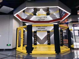 MMA Cage / Käfig / Fight Arena / Kampf Arena / Kickbox / Box