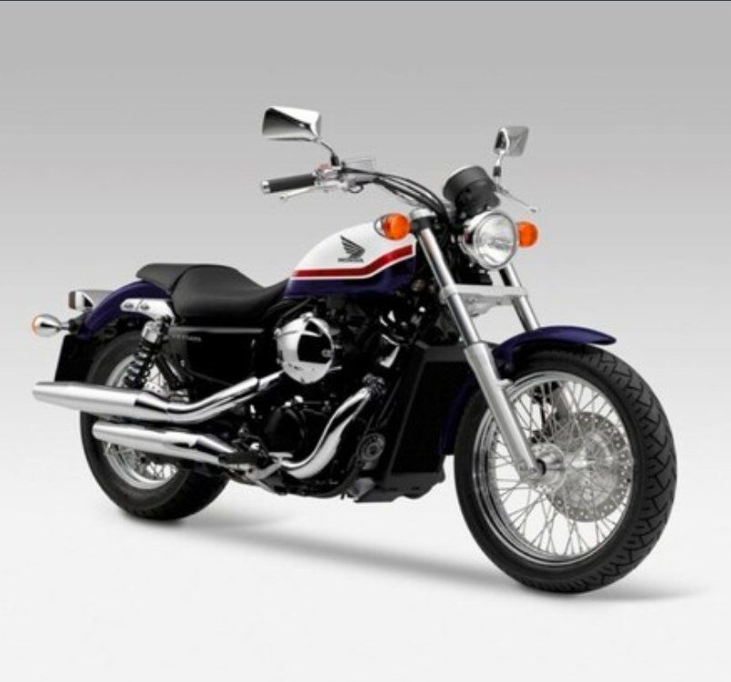 Honda Chopper: Magnifica e Rara Honda Shadow vt750s – Usato da Monte Carasso venduto da ant_ww67 1