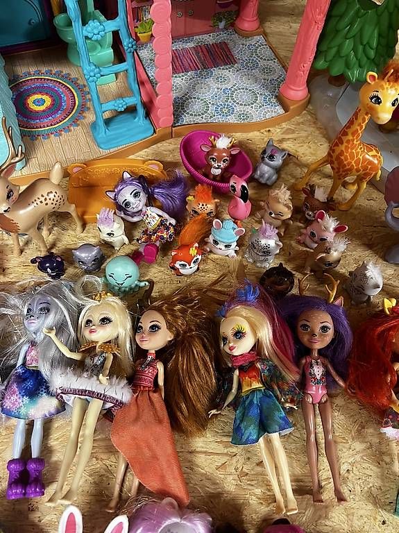 Spielzeuge: Puppen Enchantimals Set – Gebraucht aus Schwyz von sdesiree 4