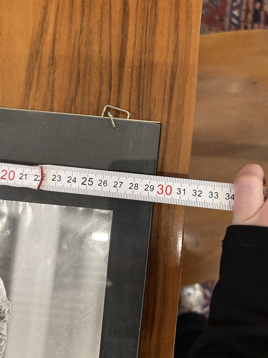 Foto & Immagini: Foto von einem Papagei hinter Glas – Usato da Zürich venduto da BashasBrockenhaus 3