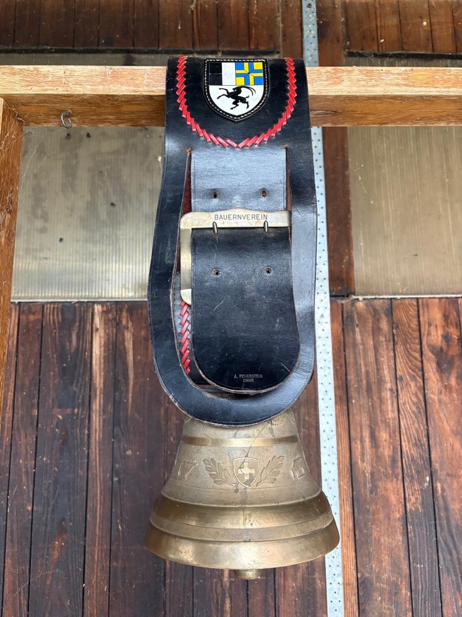Campanacci mucche: Glocke Schelle Berger – Usato da Menzingen venduto da Edelmuni7 1