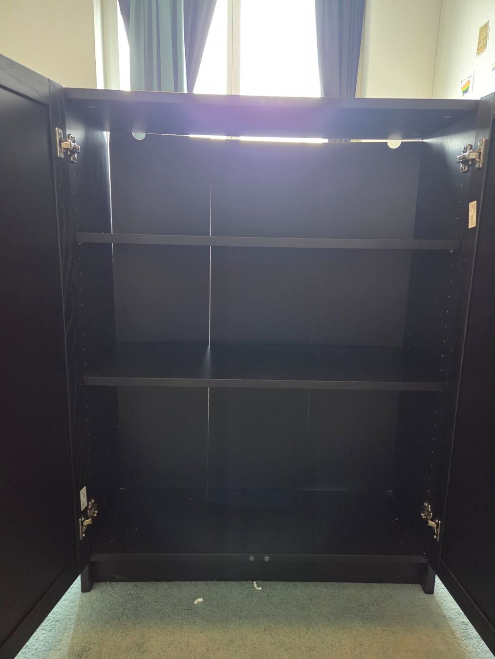 Ikea Scaffali: IKEA Billy/Oxberg regal mit tur – Usato da Kriens venduto da bol_n7fp 1