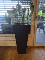 Blechkübel 1m hoch