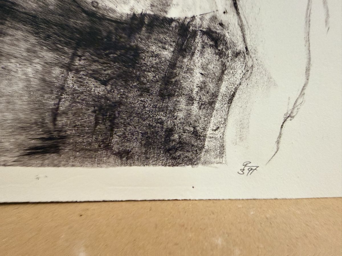 Grafiken & Lithographien: Lithographie, handsigniert – Gebraucht aus Solothurn von NUVICO 3